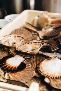 Coquilles Saint Jacques de la Baie de Saint Brieuc